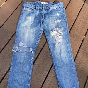 Distressed Women’s Jeans Size 26